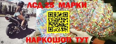 амф Дубна