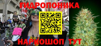 амф Дубна