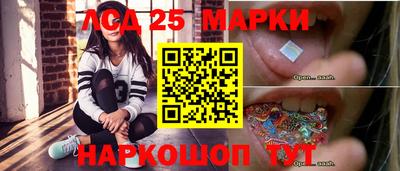 гидропоника Донской