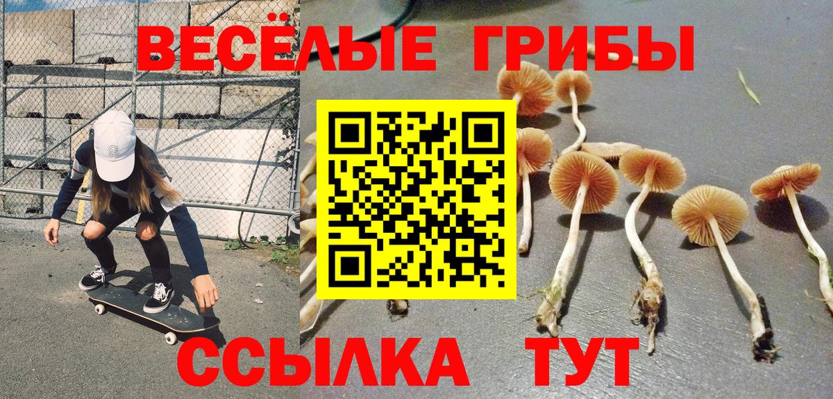 Галлюциногенные грибы Psilocybine cubensis Мирный