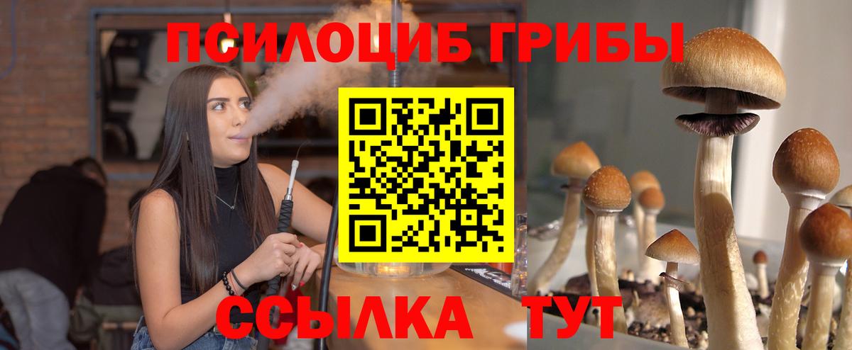 Мирный  Псилоцибиновые грибы Psilocybine cubensis  Галлюциногенные грибы Magic Shrooms  Вход с VPN 